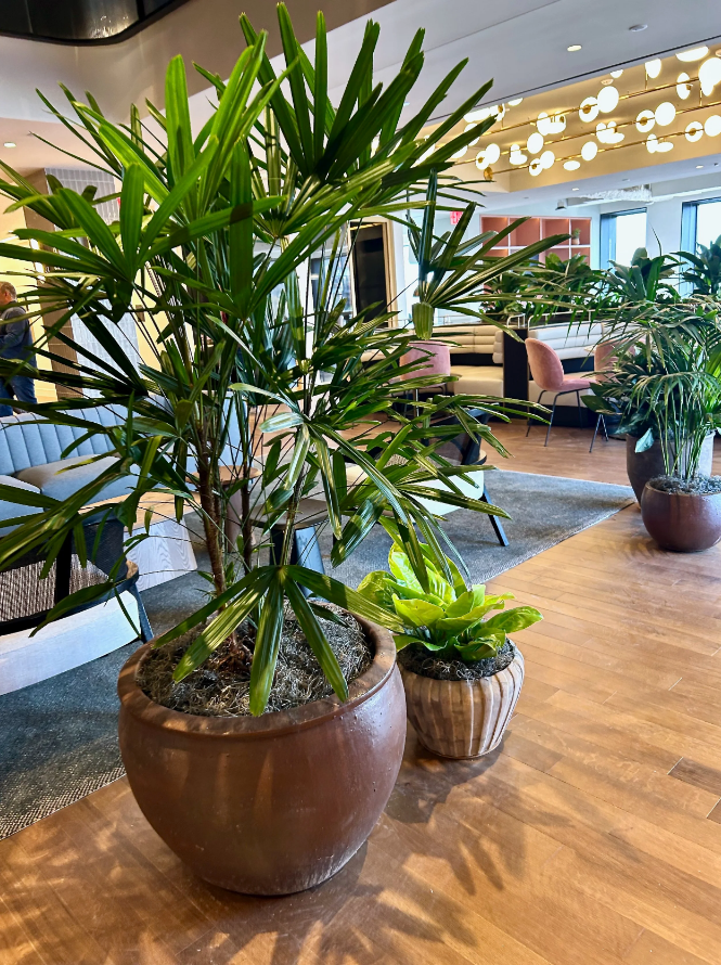 Earth Day Spotlight: How Interior Plantscaping Keeps Us Connected to the Earth