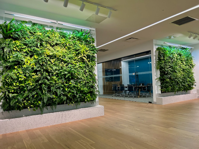 The Transformative Power of Interior Plants in Architecture and Design