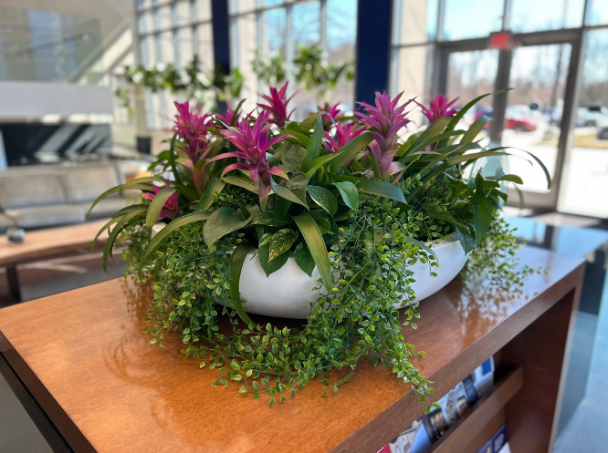 Boosting Workplace Well-Being: The Power of Biophilic Design