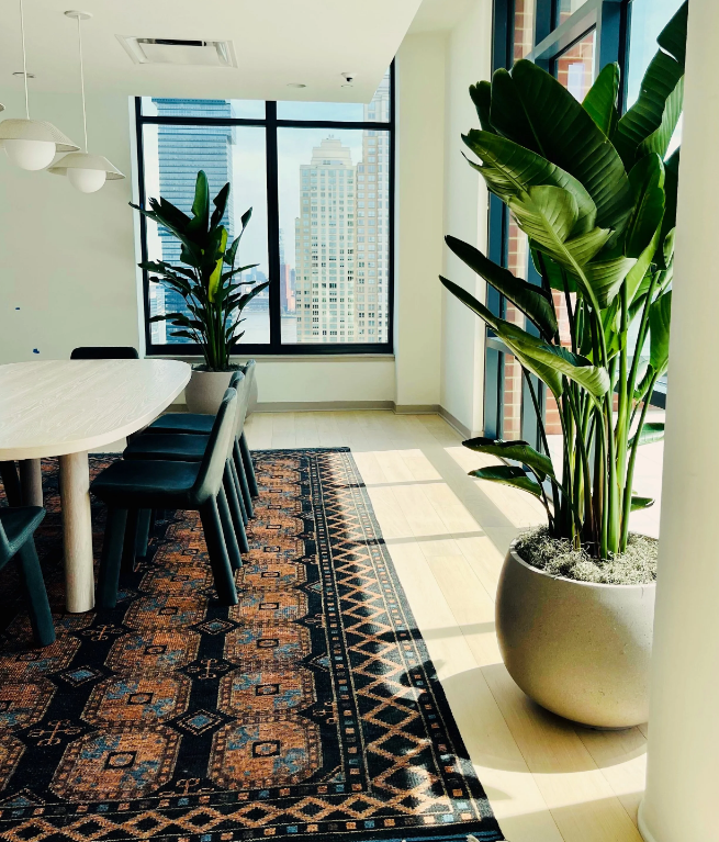 How Updating Office Plants Can Help Attract and Retain Top Talent