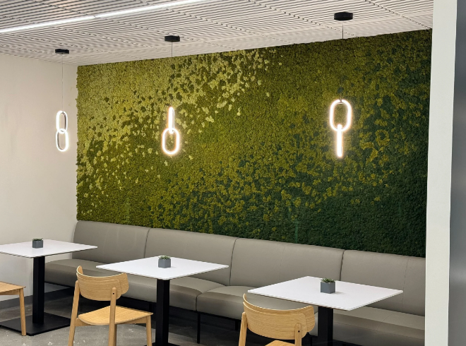 The Beauty and Benefits of Moss Walls