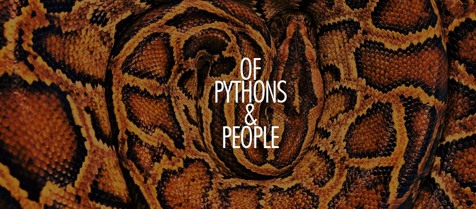 Of Pythons and People