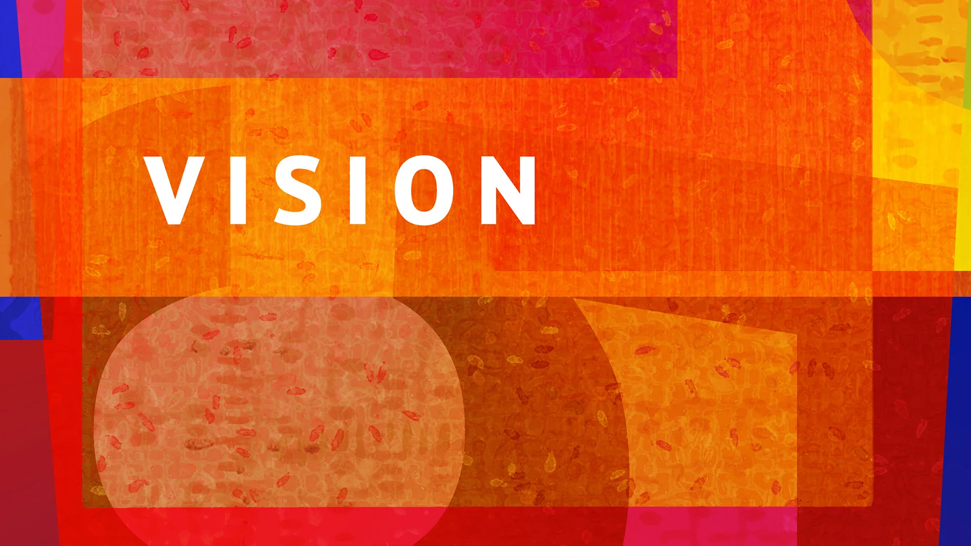 Vision_2017_Series.jpg