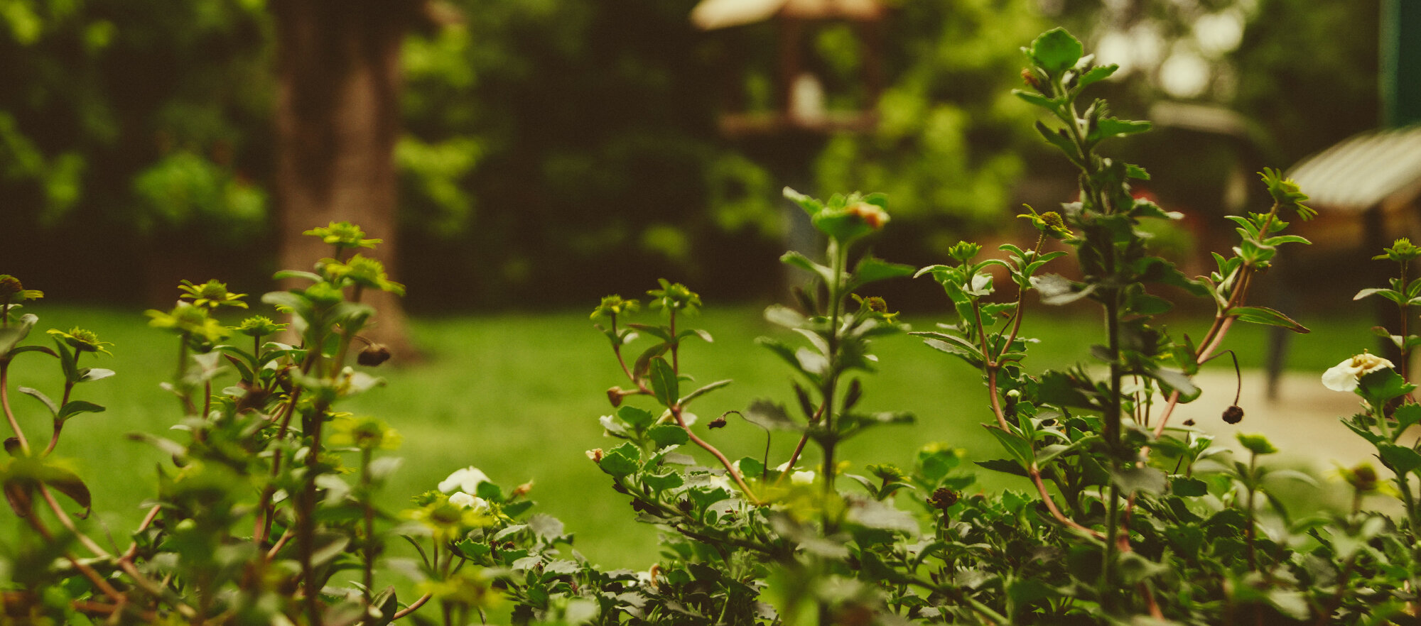 Let Me Hold These Promises