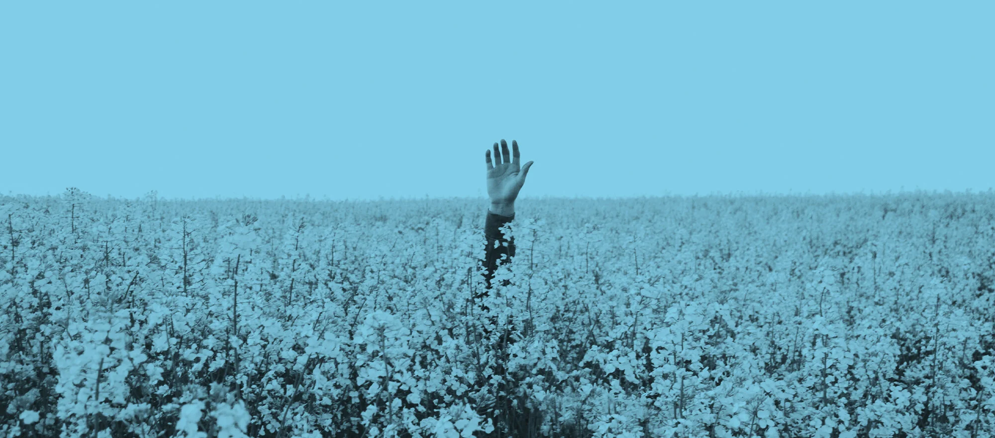 The Secret to Contentment