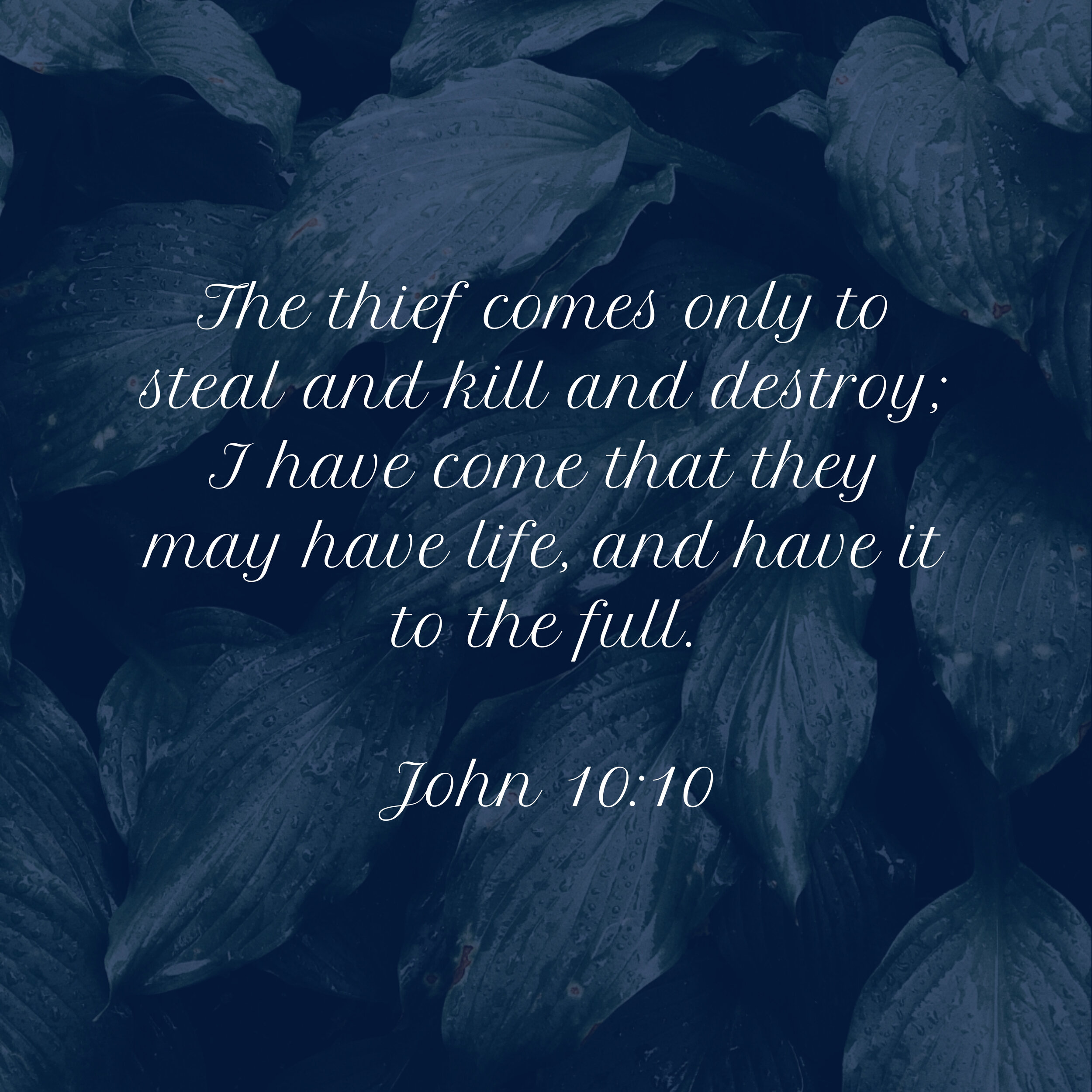 John 10_10.jpg