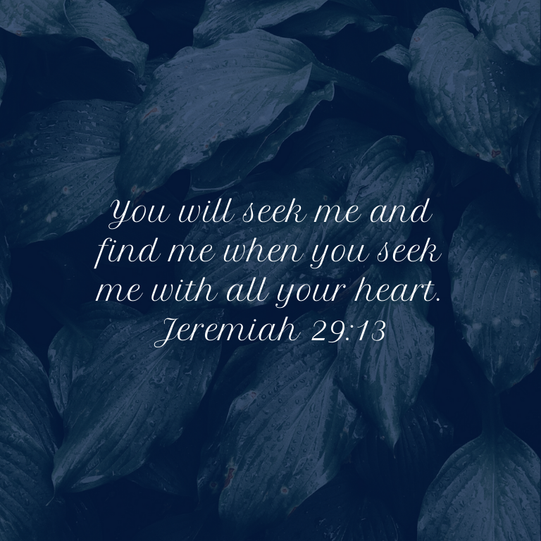 Jeremiah 29_13.png