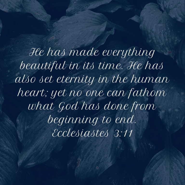 Ecclesiastes 3_11.png