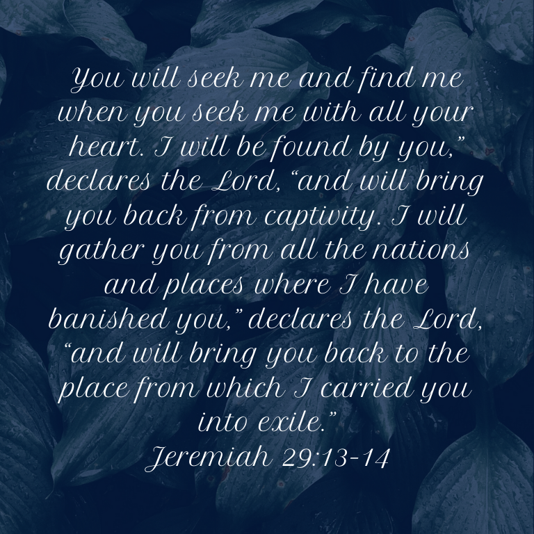 Jeremiah 29_13-14.png