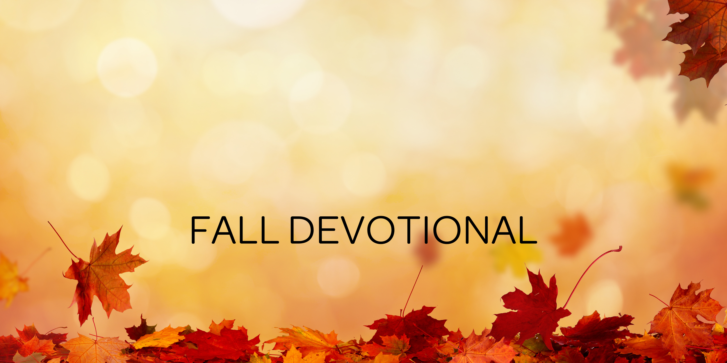 Fall Devotional | Discover Faithful Peace — AmazingGrace.life