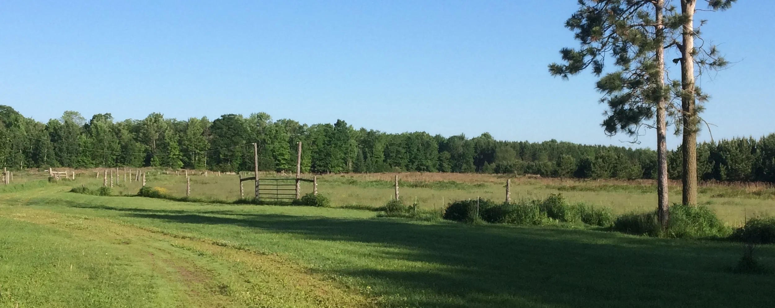 #4 Looking Forward to 2016