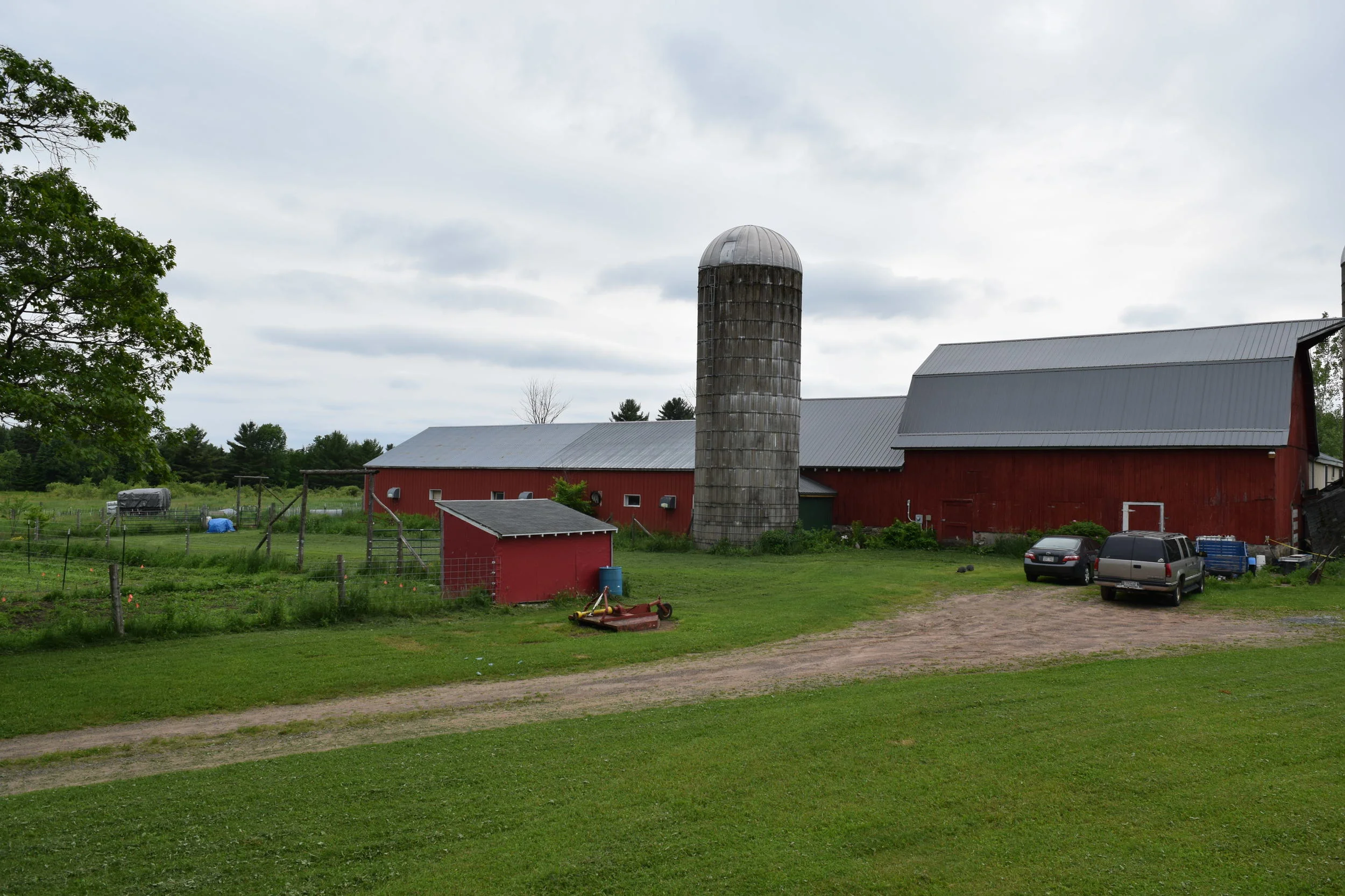 DSC_0164.jpg