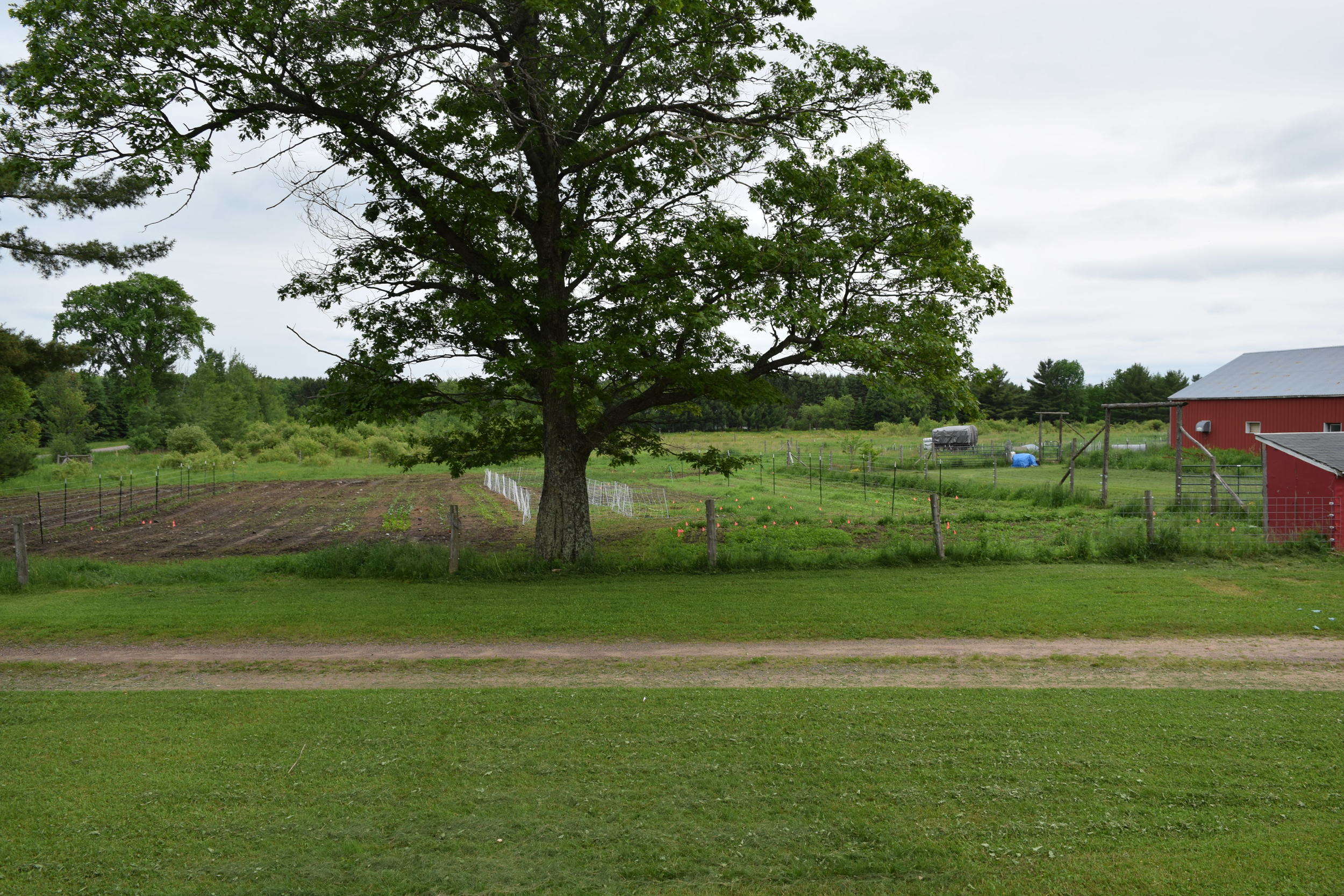 DSC_0166.jpg