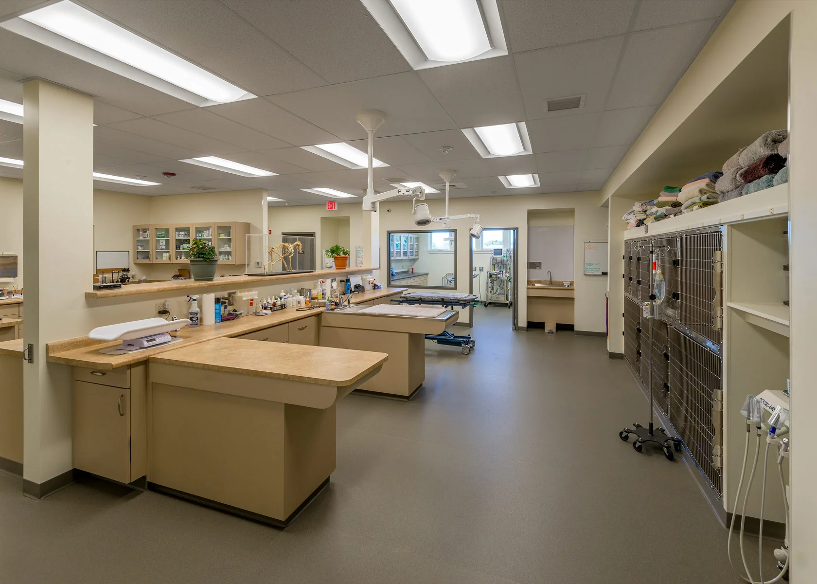 Petit Brook Veterinary Clinic — Duncan Wisniewski Architecture