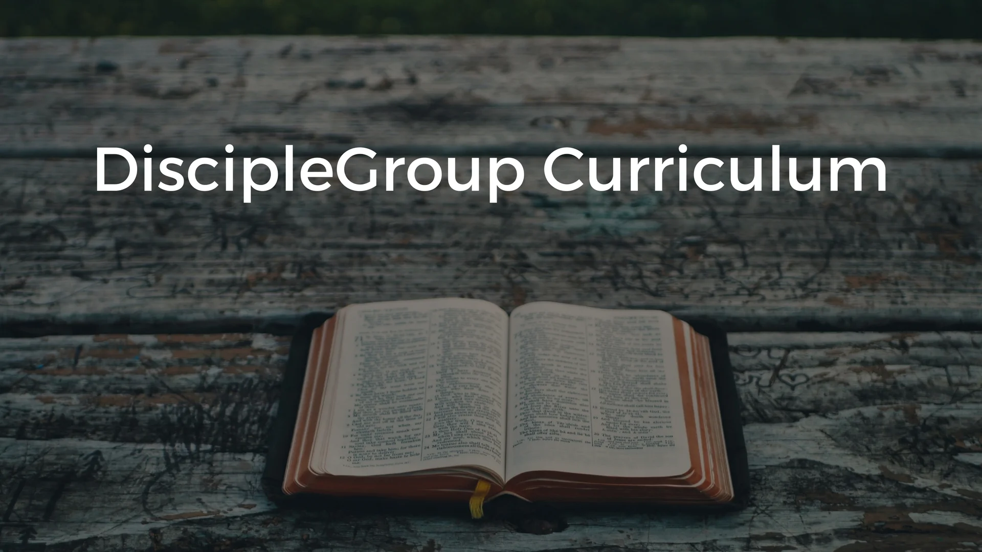 DiscipleGroup Curriculum.jpg