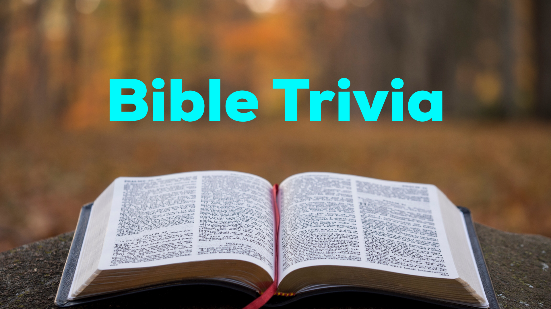 Bible Trivia Title.png