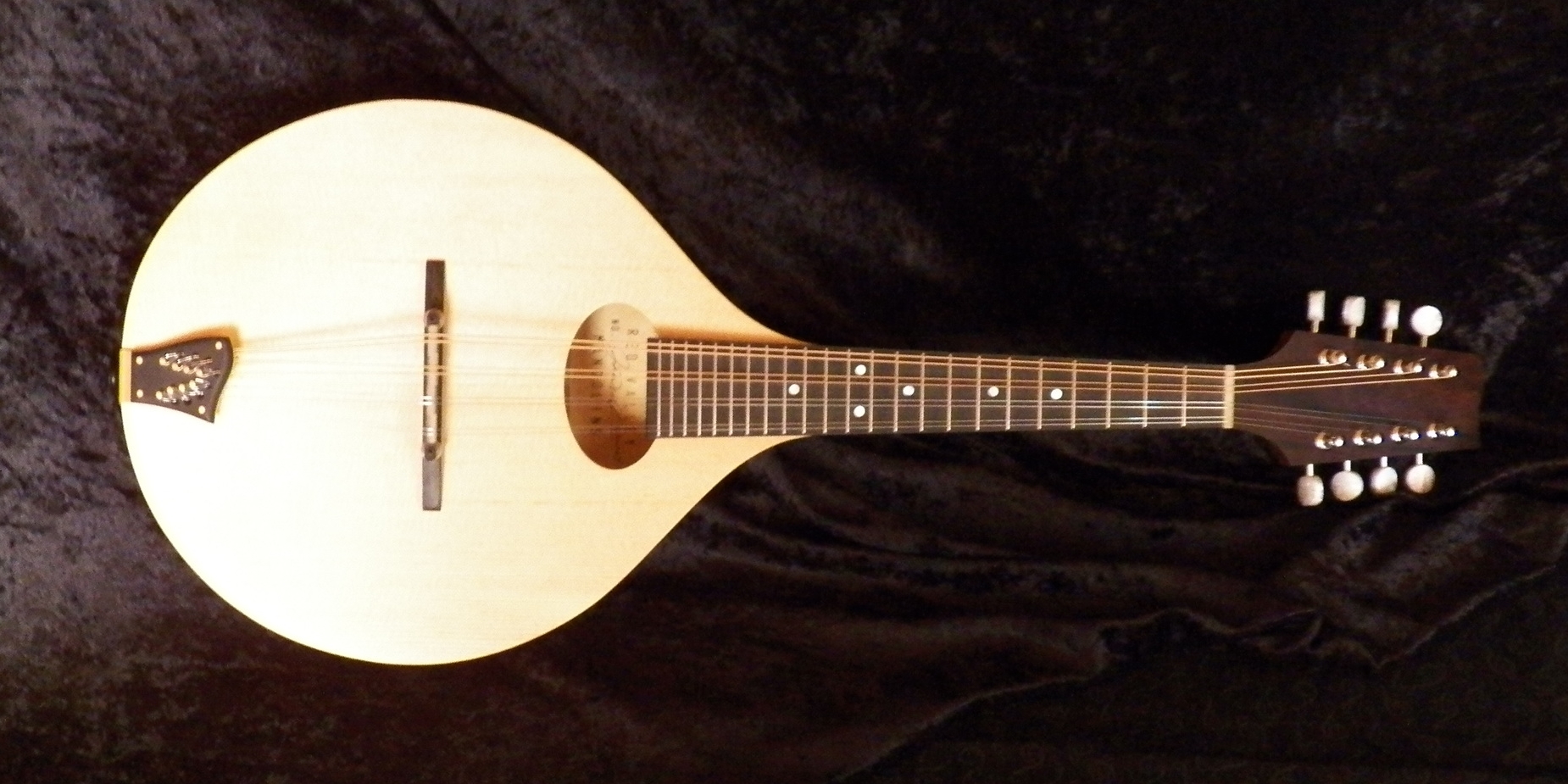 EM mandolin 100_0071.JPG