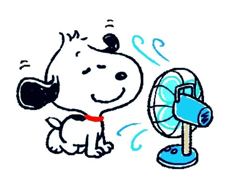 Snoopy chaleur.jpg.jpeg