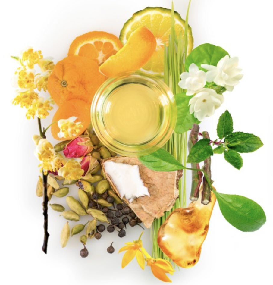 Capture d’écran 2019-10-26 à 18.04.20.png