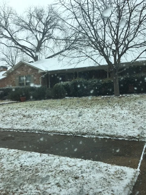 santoshasnow.jpg