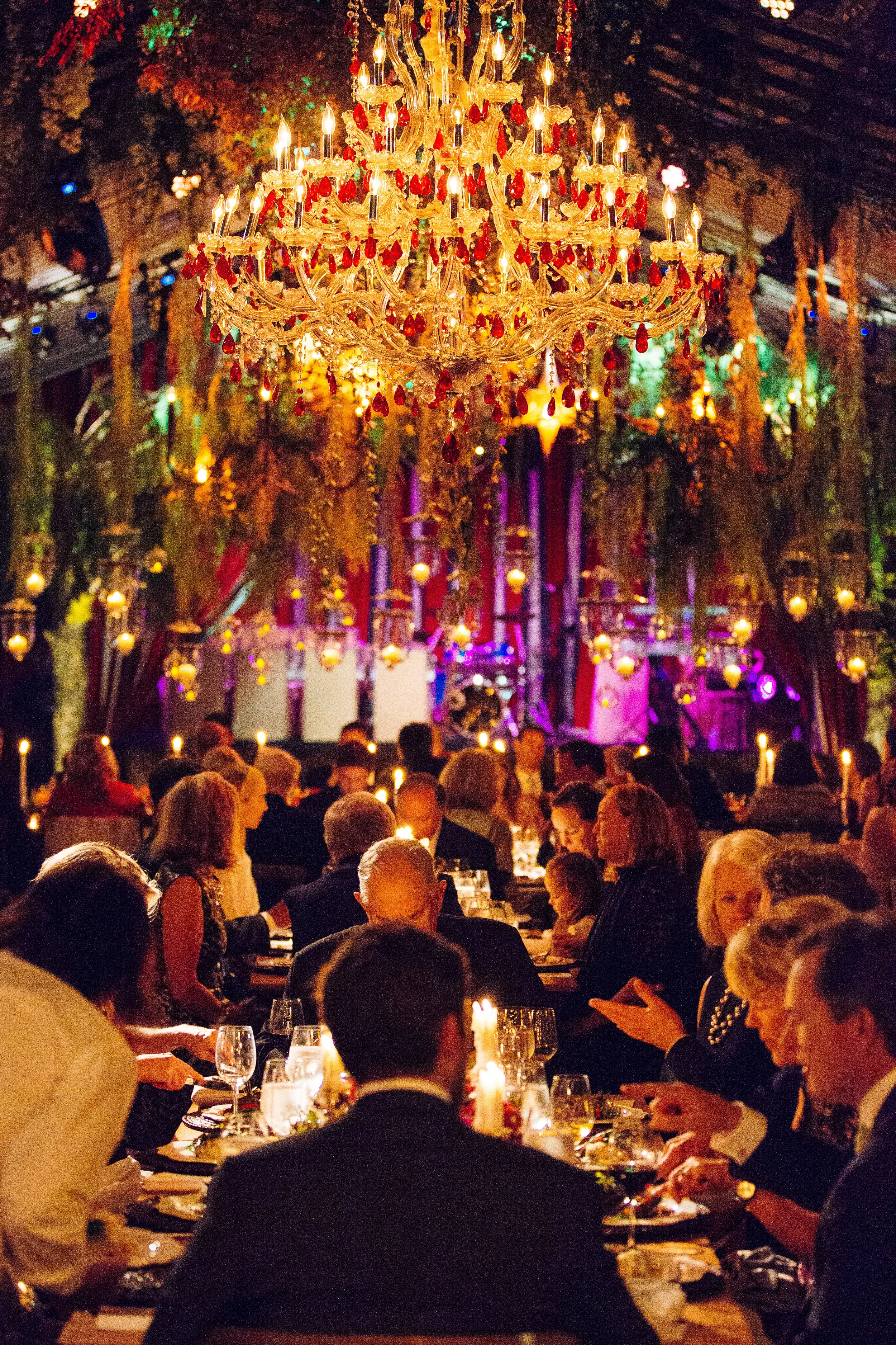 Reception-191.jpg