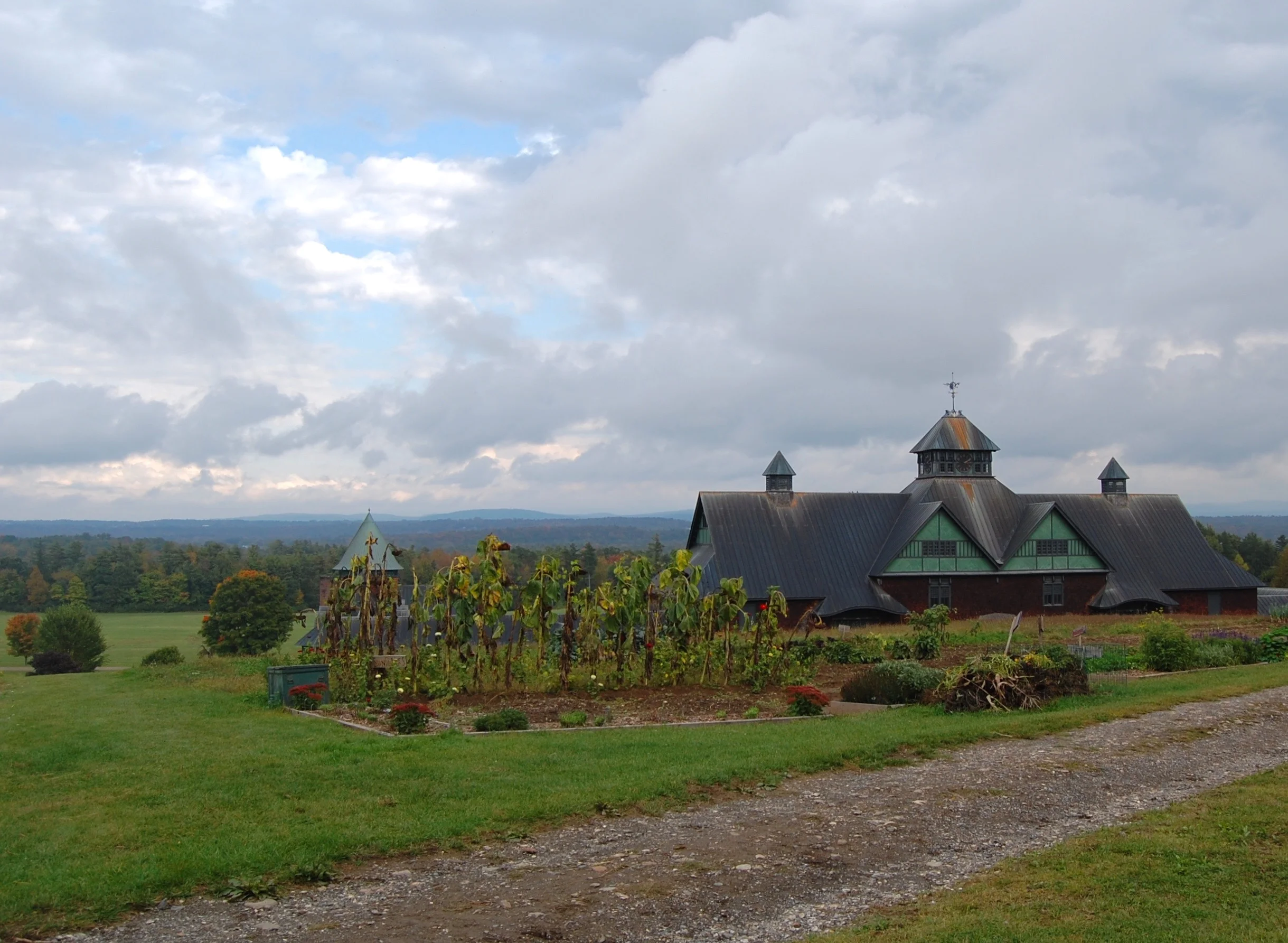 DSC_0209.jpg