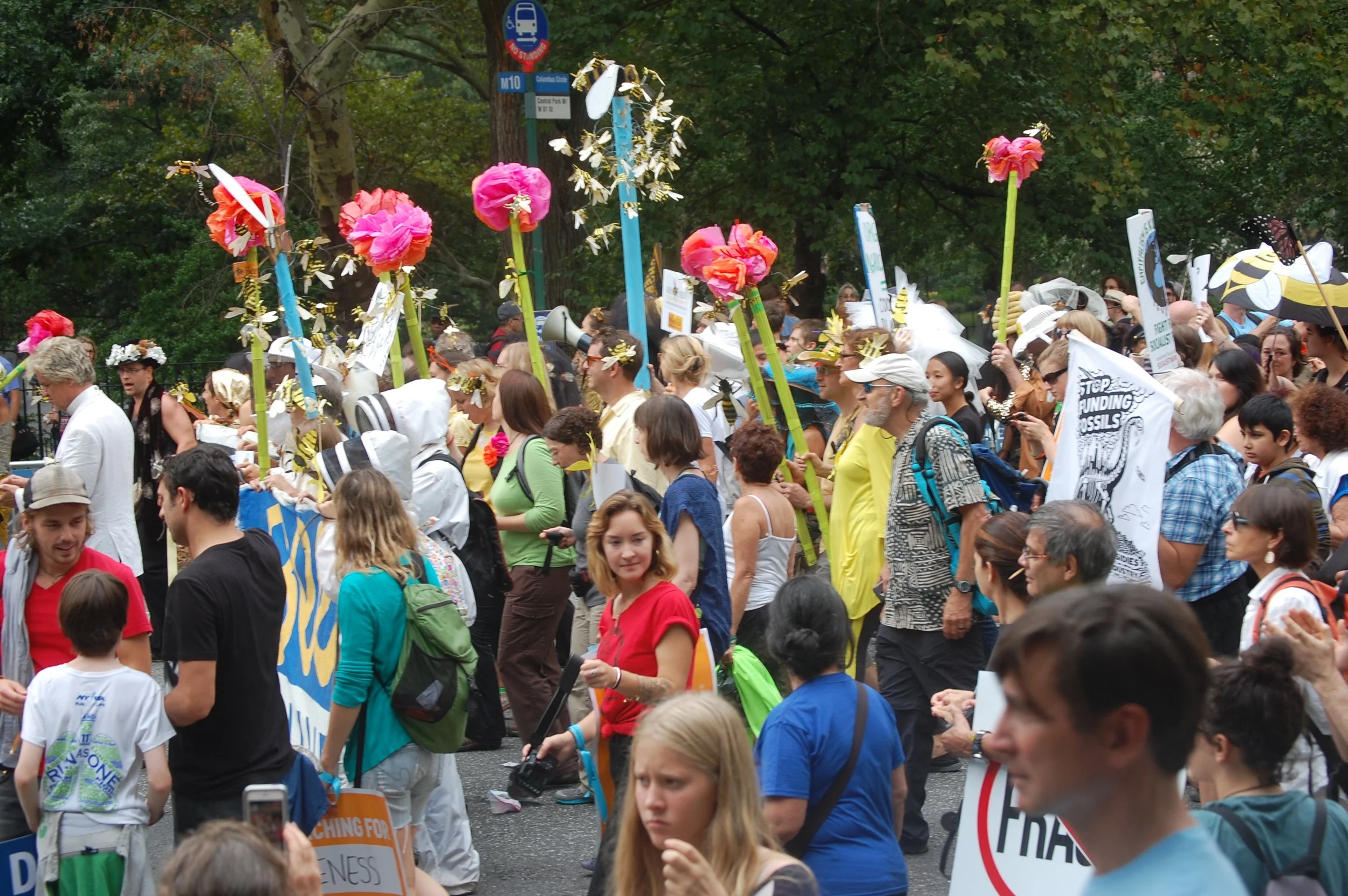 DSC_0805.jpg