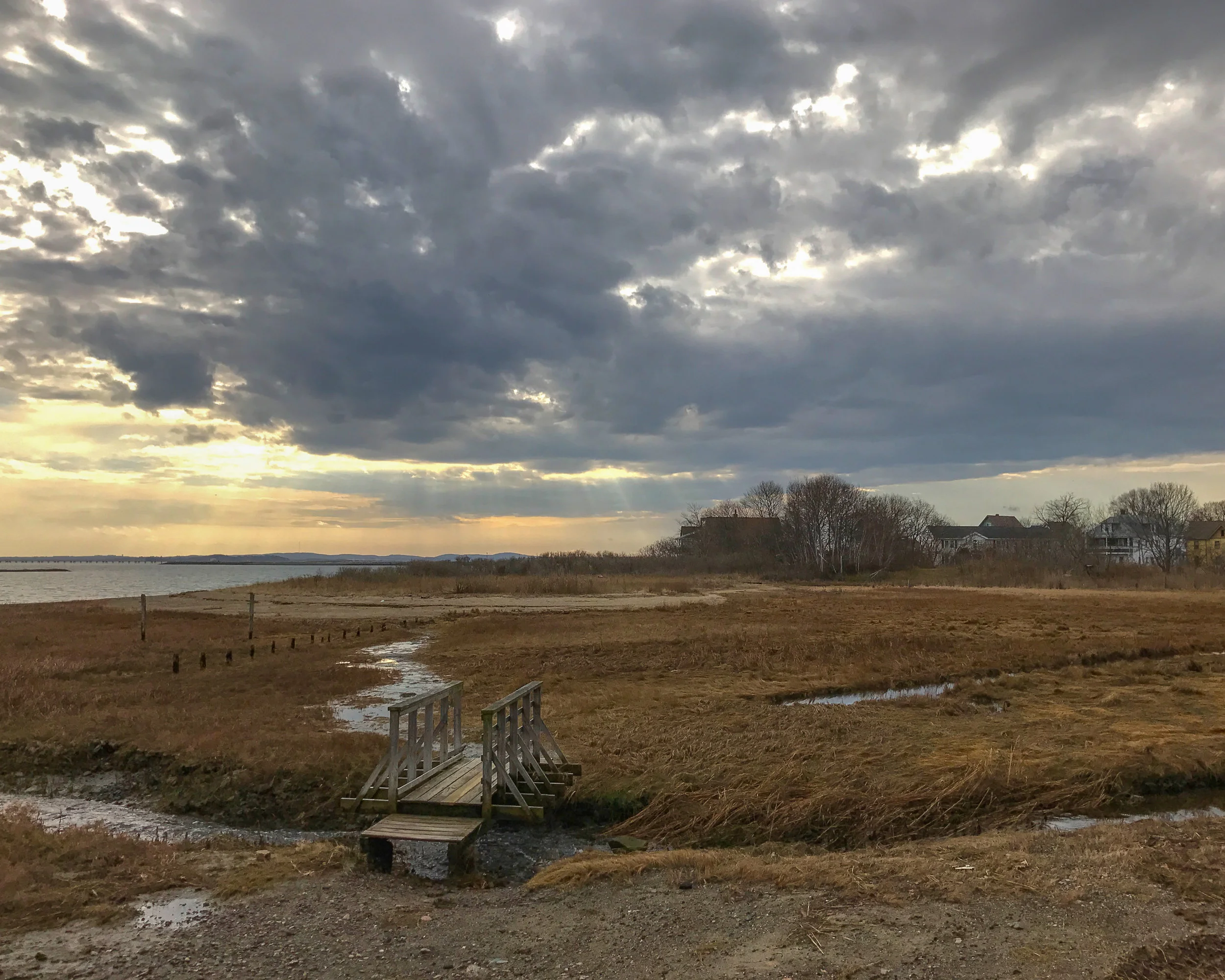 Winthrop Marsh.jpg