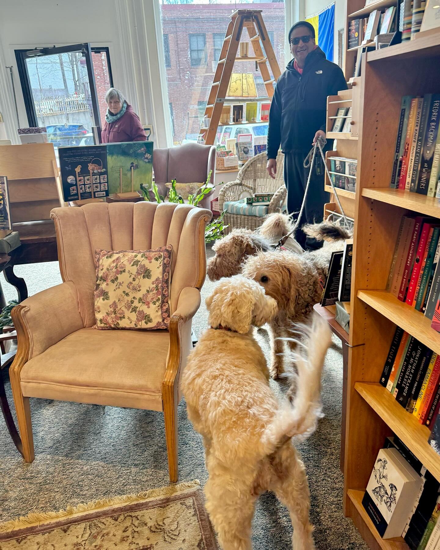 You&rsquo;ve got to love (and support) independent, dog-loving bookstores! ❤️📚 🐾🦮#leftbankbooks #belfast #doglover