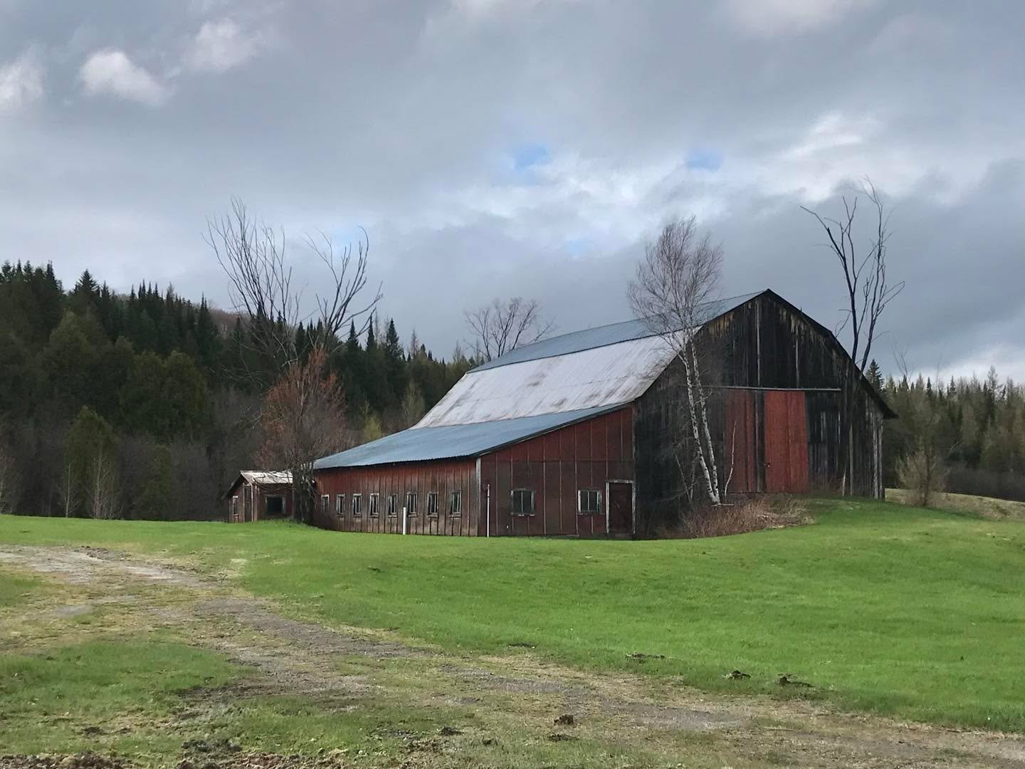 This image randomly popped up on my phone and drew me in.  Taken in May 2019 somewhere in Northeast Kingdom, VT.  I miss the Vermont countryside. ❤️
