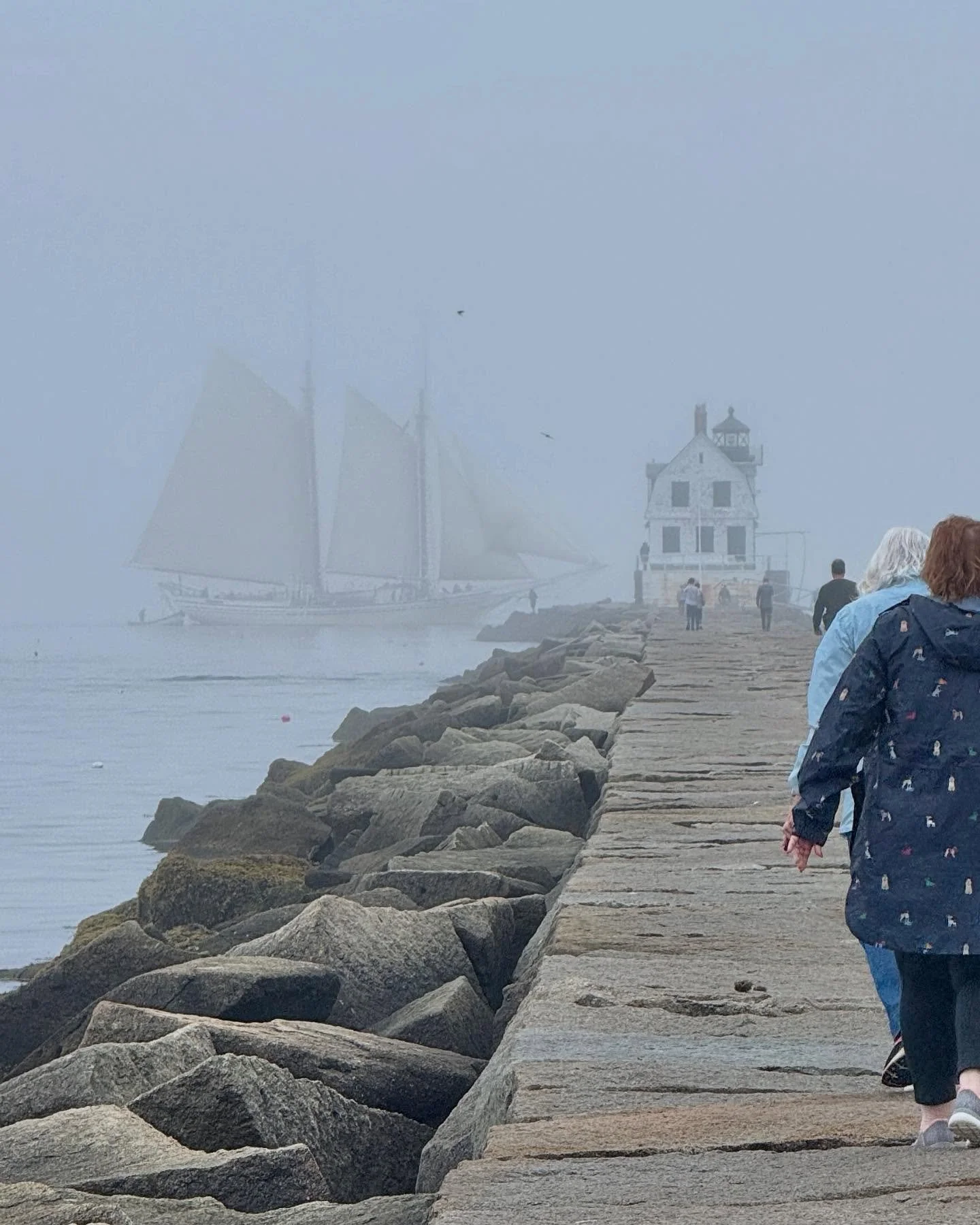 Foggy summer day.