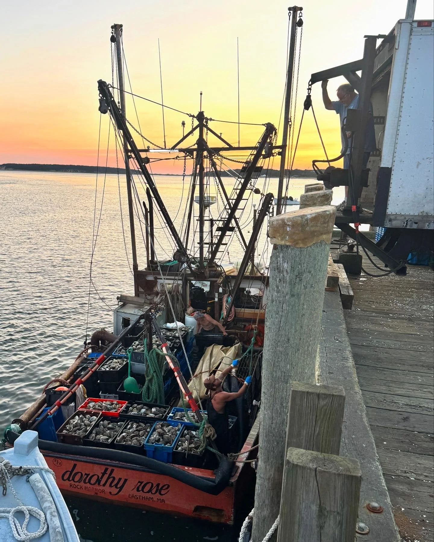 Offloading some mighty big clams.