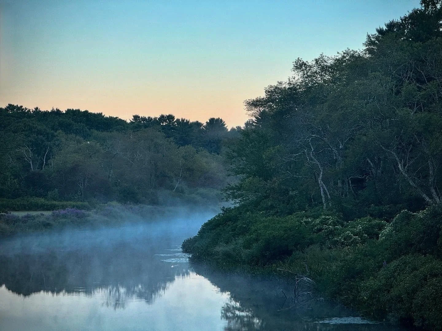 A quick snap out the window of the moving car on my drive to Boston.
