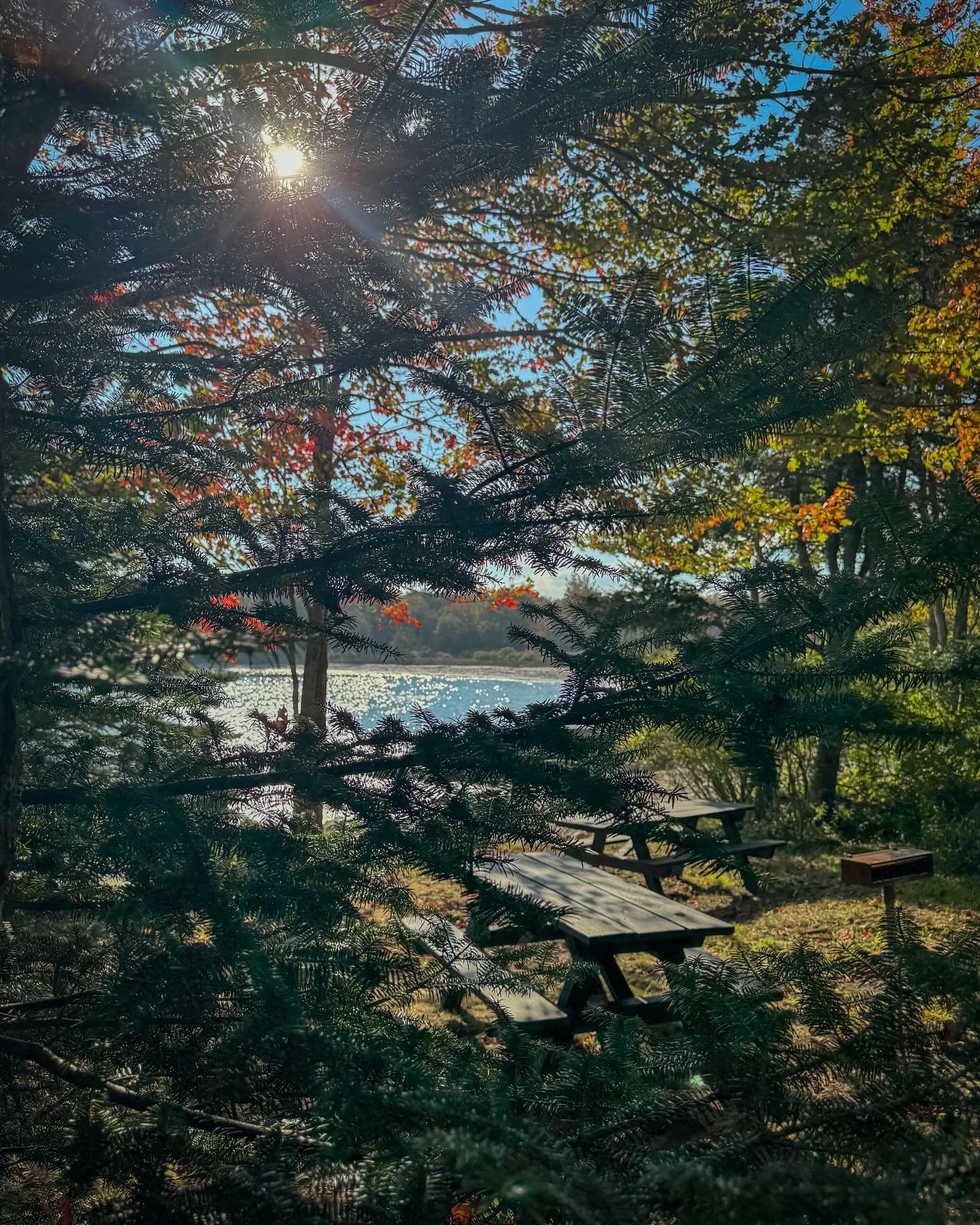 A beautiful fall Sunday drive. 🙏❤️🍃🍁