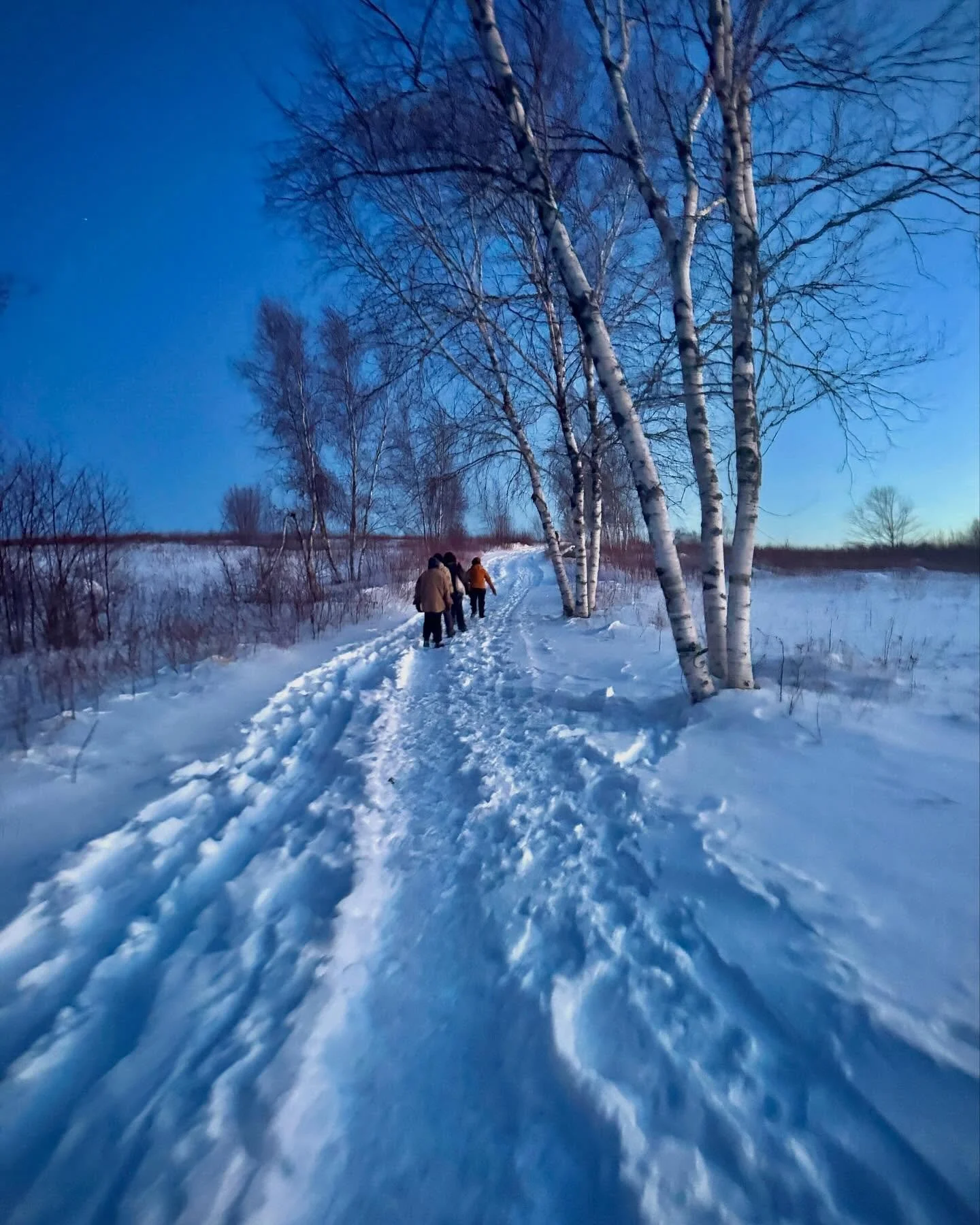 Moonlight hike up Beech Hill.  Beautiful.  Not too cold at all!