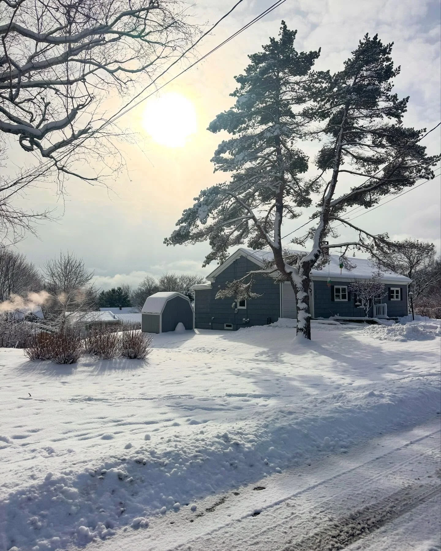 Pretty walk in the neighborhood this morning. 🤗❄️