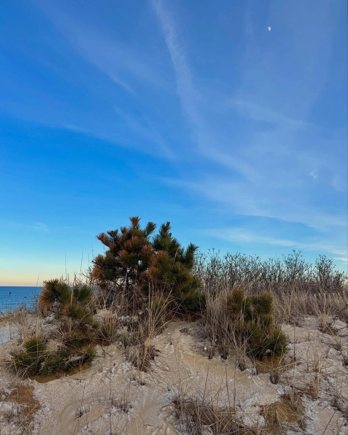 Another beautiful day.  Much walking about.