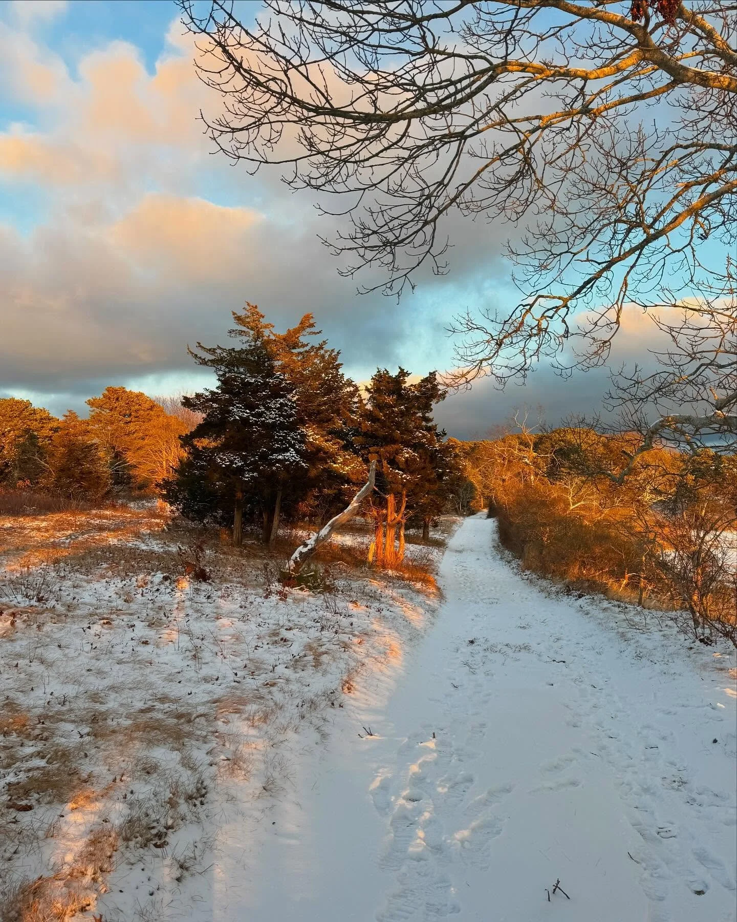 Chasing the light&hellip;