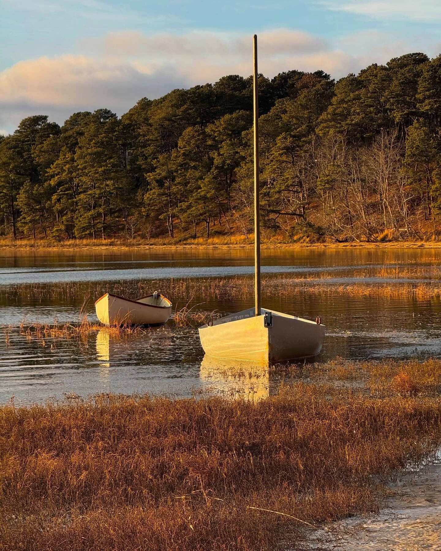 Another cloudy day but then late day sun rays poking through for a short bit. 🤗