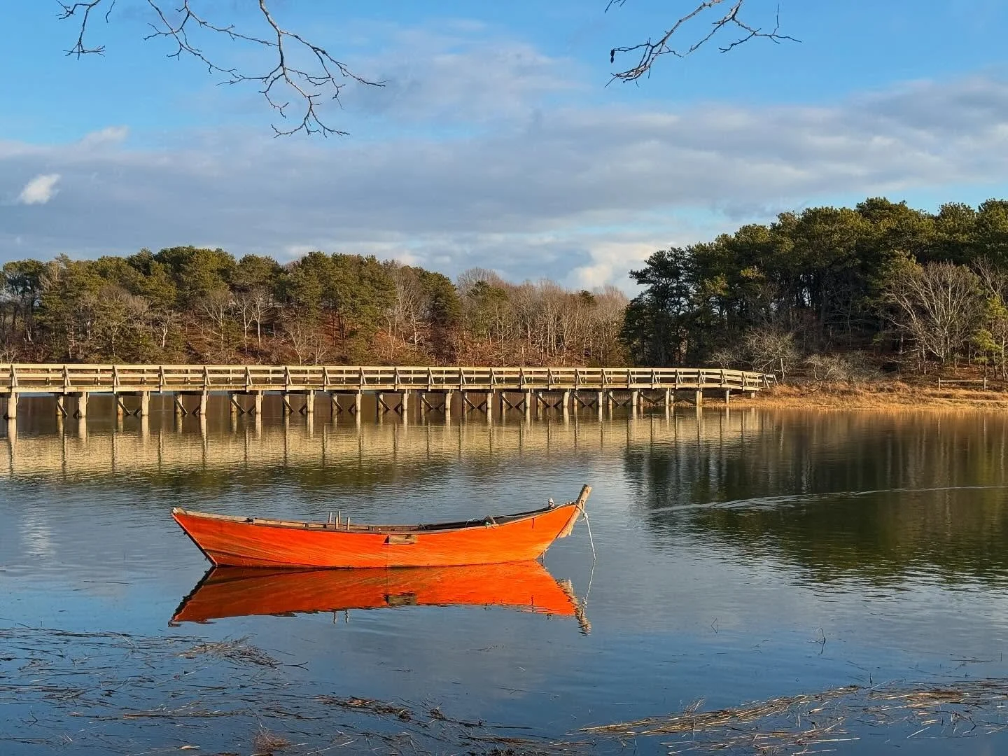 Merry Christmas All! 🎄🎅🏻🎁🌊