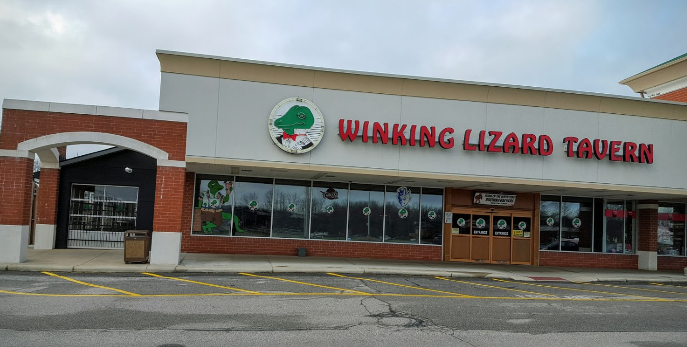 Winking Lizard