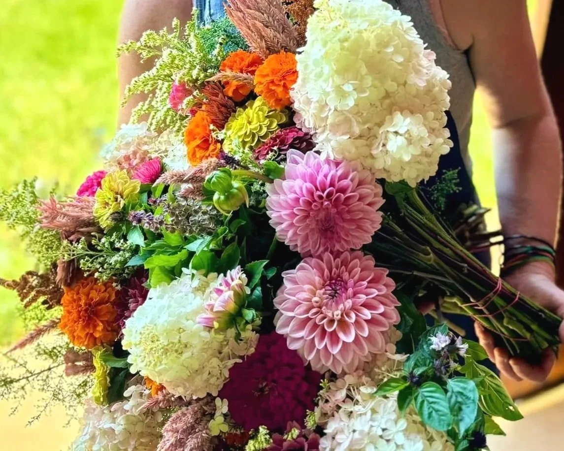 Late Summer with Dahlias - Mid-Season Subscriptions