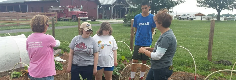 Instructors at Legacy Farms teaching the interns about harvesting.