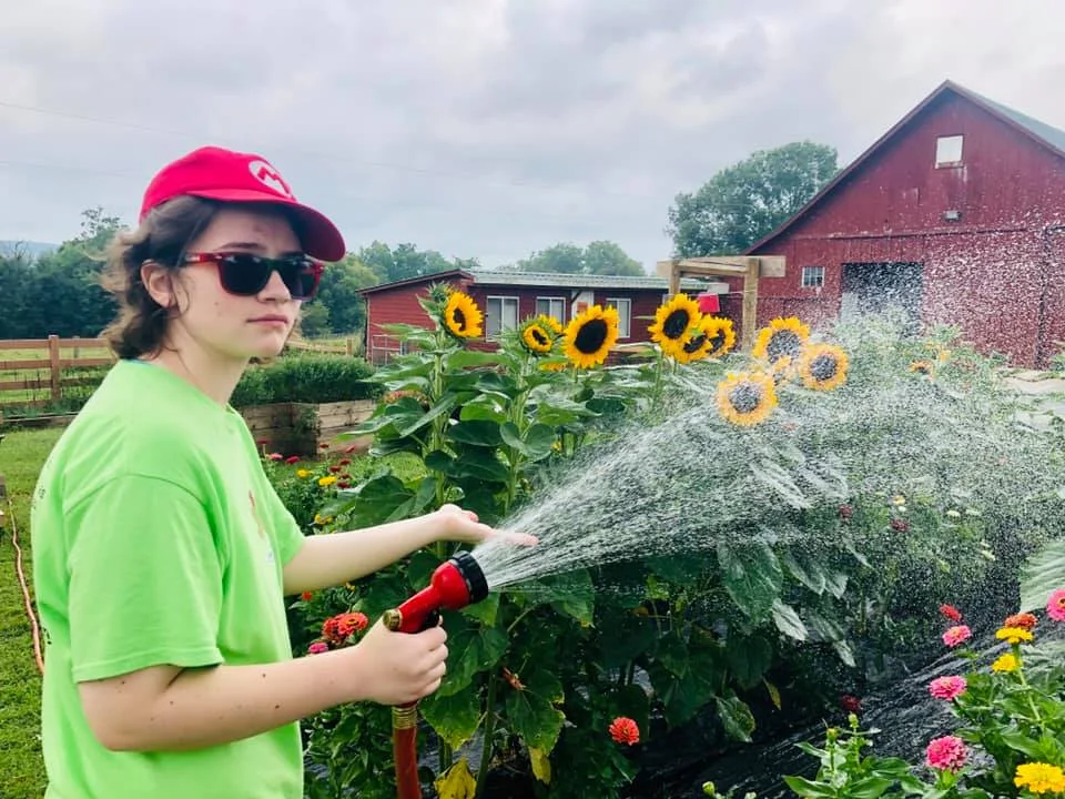 Watering.jpg