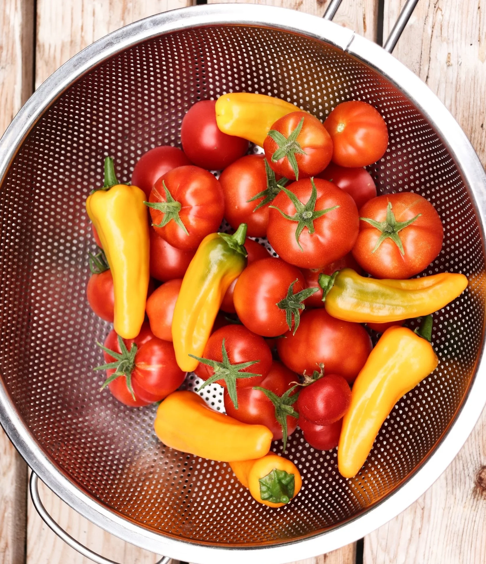 Tomatoes (cherry, Roma, heirlooms, as well as zucchini, peppers, and squashes)
