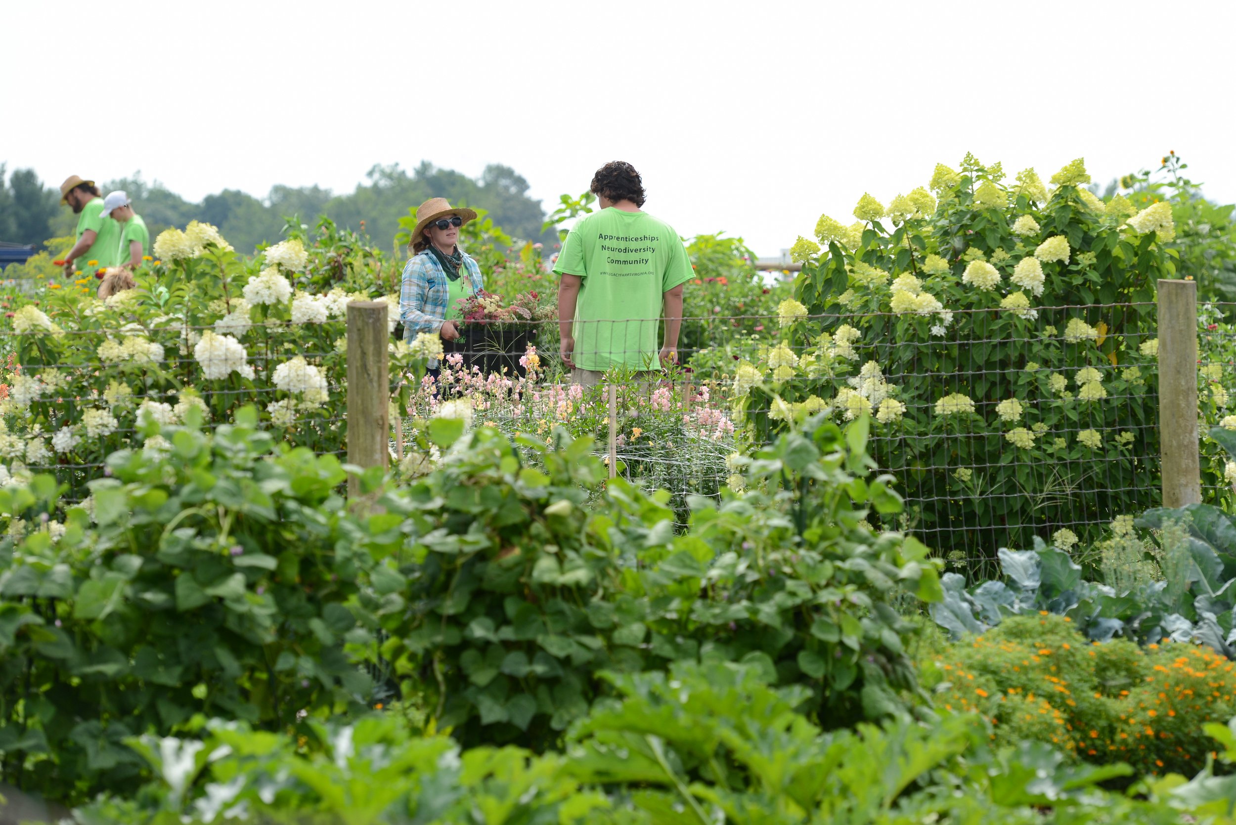Assistant Farm Manager