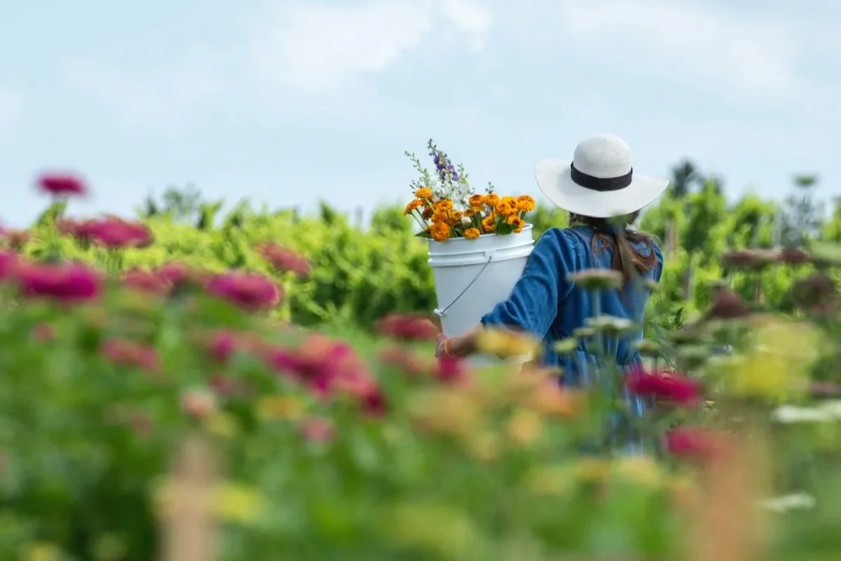 "Harvest" Apprentice Media Exhibit &amp; Showcase - JOIN US!