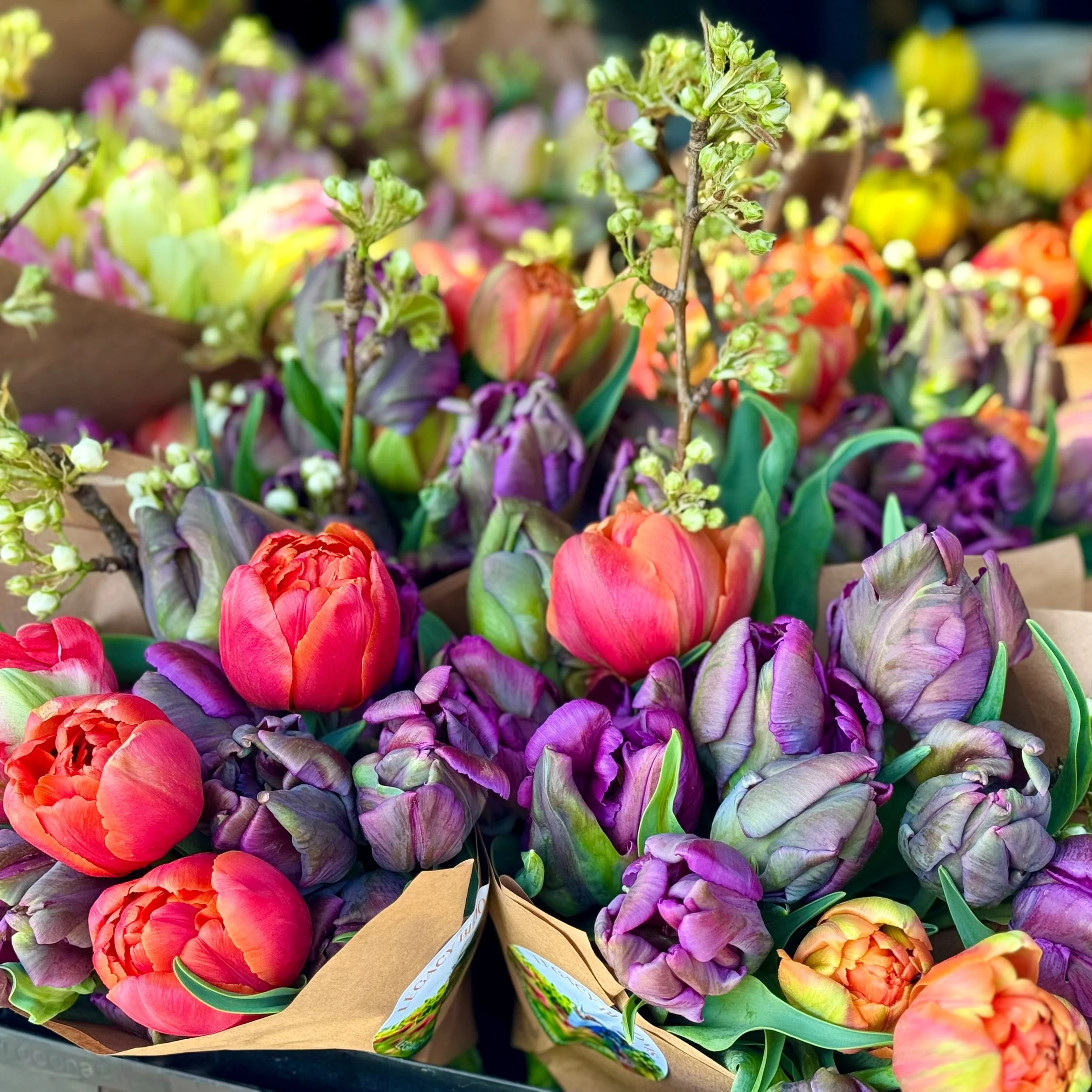 Leesburg Flower &amp; Garden Festival