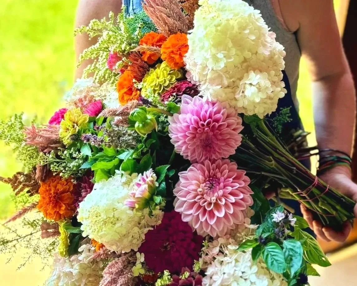LB%252B-%252Bdhalias.jpg