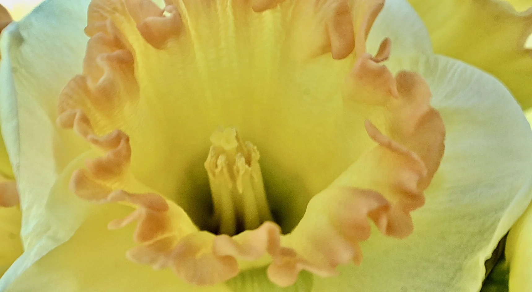 Blog Feature Image - Caleb D.jpeg